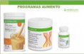 PROGRAMA BÁSICO 